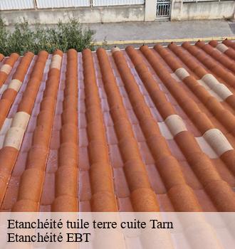 Etanchéité tuile terre cuite 81 Tarn  Etanchéité EBT