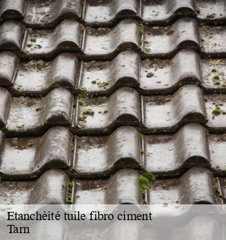 Etanchèité tuile fibro ciment 81 Tarn  Etanchéité EBT