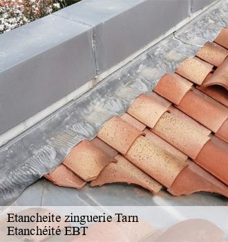 Etancheite zinguerie 81 Tarn  Etanchéité EBT