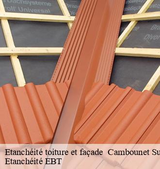 Etanchéité toiture et façade   cambounet-sur-le-sor-81580 Etanchéité EBT