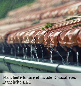 Etanchéité toiture et façade   caucalieres-81200 Etanchéité EBT