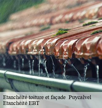 Etanchéité toiture et façade   puycalvel-81440 Etanchéité EBT