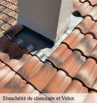 Etanchéité de cheminée et Velux  saint-amans-valtoret-81240 Etanchéité EBT