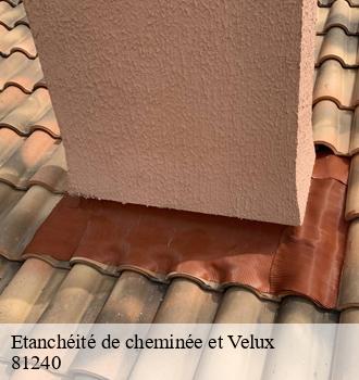 Etanchéité de cheminée et Velux  saint-amans-valtoret-81240 Etanchéité EBT