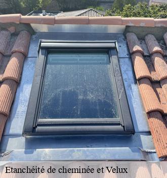 Etanchéité de cheminée et Velux  saint-amans-valtoret-81240 Etanchéité EBT