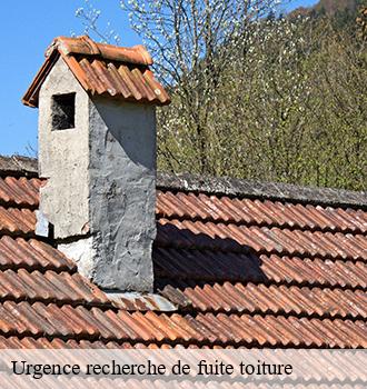 Urgence recherche de fuite toiture  campes-81170 Etanchéité EBT