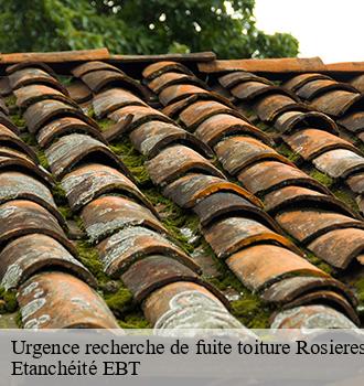 Urgence recherche de fuite toiture  rosieres-81400 Etanchéité EBT