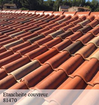 Etancheite couvreur  aguts-81470 Etanchéité EBT