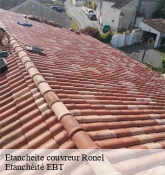 Etancheite couvreur  ronel-81120 Etanchéité EBT