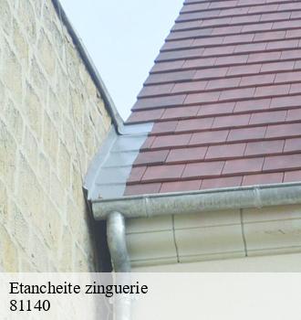 Etancheite zinguerie  alos-81140 Etanchéité EBT