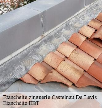 Etancheite zinguerie  castelnau-de-levis-81150 Etanchéité EBT