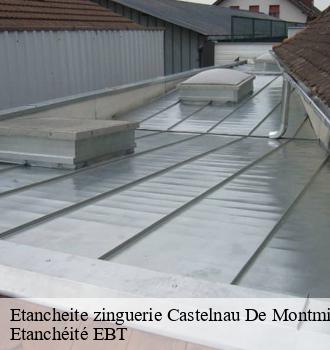 Etancheite zinguerie  castelnau-de-montmiral-81140 Etanchéité EBT