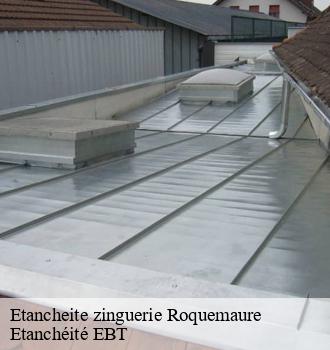 Etancheite zinguerie  roquemaure-81800 Etanchéité EBT