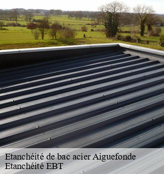 Etanchéité de bac acier  aiguefonde-81200 Etanchéité EBT