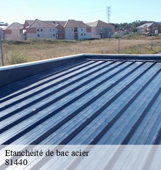 Etanchéité de bac acier  brousse-81440 Etanchéité EBT