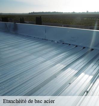 Etanchéité de bac acier  fiac-81500 Etanchéité EBT