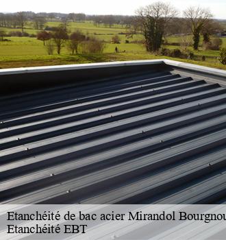 Etanchéité de bac acier  mirandol-bourgnounac-81190 Etanchéité EBT