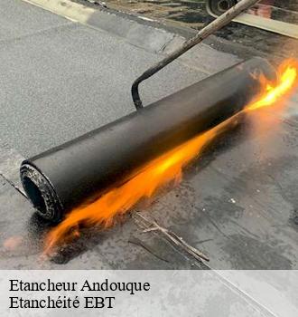 Etancheur  andouque-81350 Etanchéité EBT