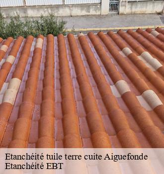 Etanchéité tuile terre cuite  aiguefonde-81200 Etanchéité EBT