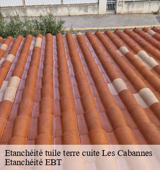 Etanchéité tuile terre cuite  les-cabannes-81170 Etanchéité EBT