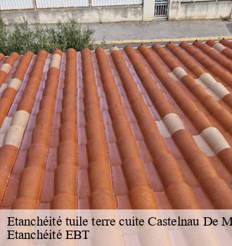 Etanchéité tuile terre cuite  castelnau-de-montmiral-81140 Etanchéité EBT