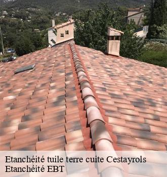 Etanchéité tuile terre cuite  cestayrols-81150 Etanchéité EBT