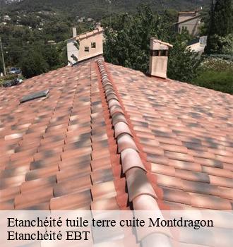 Etanchéité tuile terre cuite  montdragon-81440 Etanchéité EBT