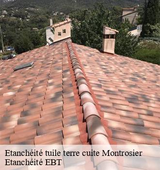 Etanchéité tuile terre cuite  montrosier-81170 Etanchéité EBT