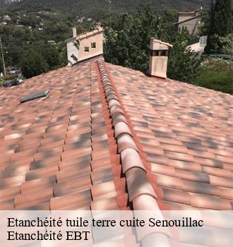 Etanchéité tuile terre cuite  senouillac-81600 Etanchéité EBT