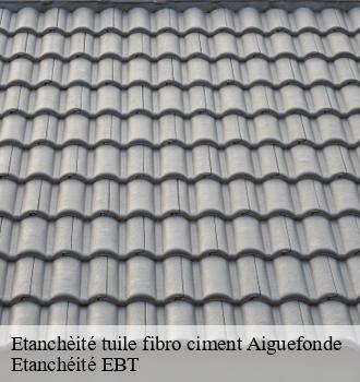 Etanchèité tuile fibro ciment  aiguefonde-81200 Etanchéité EBT