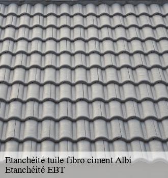 Etanchèité tuile fibro ciment  albi-81000 Etanchéité EBT