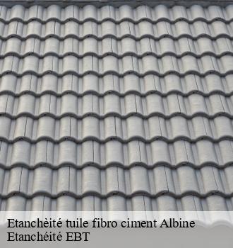 Etanchèité tuile fibro ciment  albine-81240 Etanchéité EBT