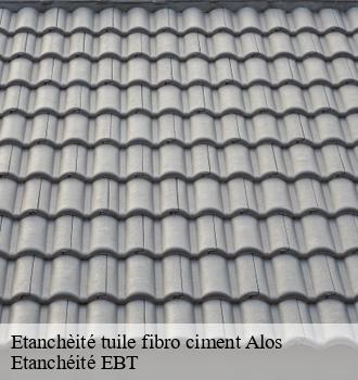 Etanchèité tuile fibro ciment  alos-81140 Etanchéité EBT