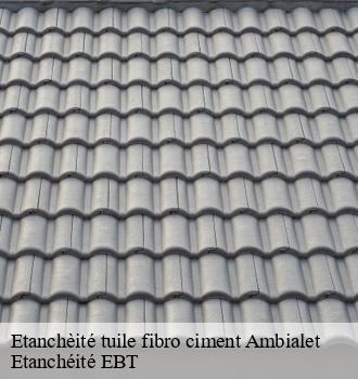 Etanchèité tuile fibro ciment  ambialet-81430 Etanchéité EBT