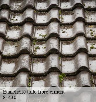 Etanchèité tuile fibro ciment  ambialet-81430 Etanchéité EBT