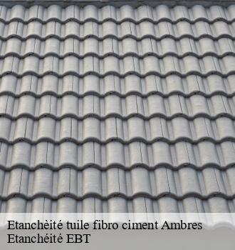 Etanchèité tuile fibro ciment  ambres-81500 Etanchéité EBT