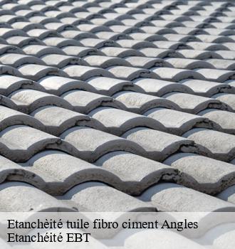 Etanchèité tuile fibro ciment  angles-81260 Etanchéité EBT