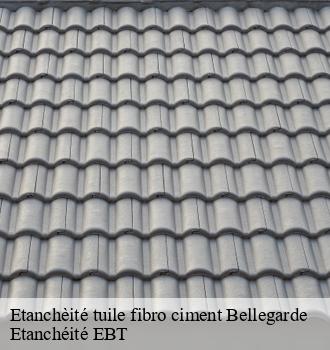 Etanchèité tuile fibro ciment  bellegarde-81430 Etanchéité EBT