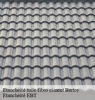 Etanchèité tuile fibro ciment  bertre-81700 Etanchéité EBT