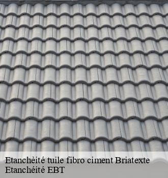 Etanchèité tuile fibro ciment  briatexte-81390 Etanchéité EBT