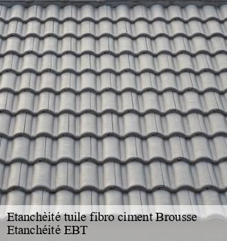 Etanchèité tuile fibro ciment  brousse-81440 Etanchéité EBT