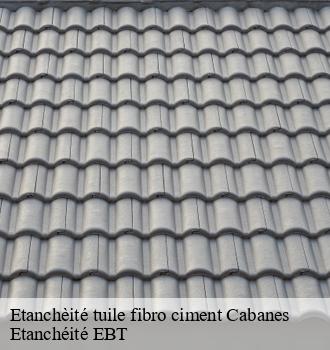 Etanchèité tuile fibro ciment  cabanes-81500 Etanchéité EBT