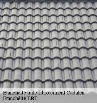 Etanchèité tuile fibro ciment  cadalen-81600 Etanchéité EBT