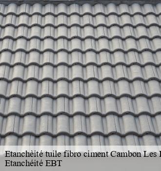 Etanchèité tuile fibro ciment  cambon-les-lavaur-81470 Etanchéité EBT