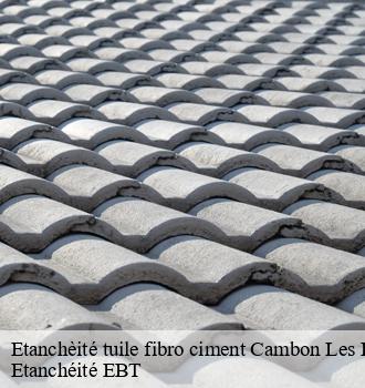 Etanchèité tuile fibro ciment  cambon-les-lavaur-81470 Etanchéité EBT