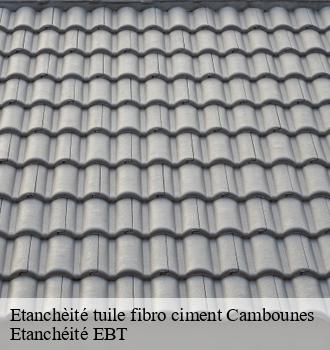 Etanchèité tuile fibro ciment  cambounes-81260 Etanchéité EBT