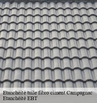 Etanchèité tuile fibro ciment  campagnac-81140 Etanchéité EBT