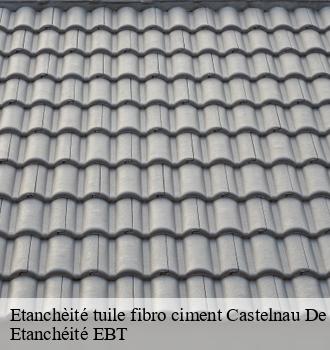 Etanchèité tuile fibro ciment  castelnau-de-brassac-81260 Etanchéité EBT