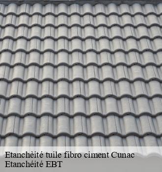 Etanchèité tuile fibro ciment  cunac-81990 Etanchéité EBT