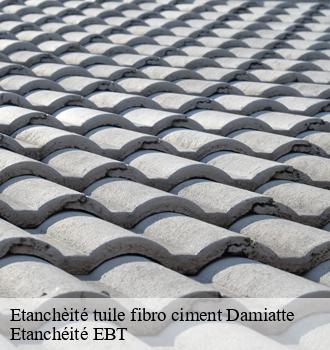 Etanchèité tuile fibro ciment  damiatte-81220 Etanchéité EBT